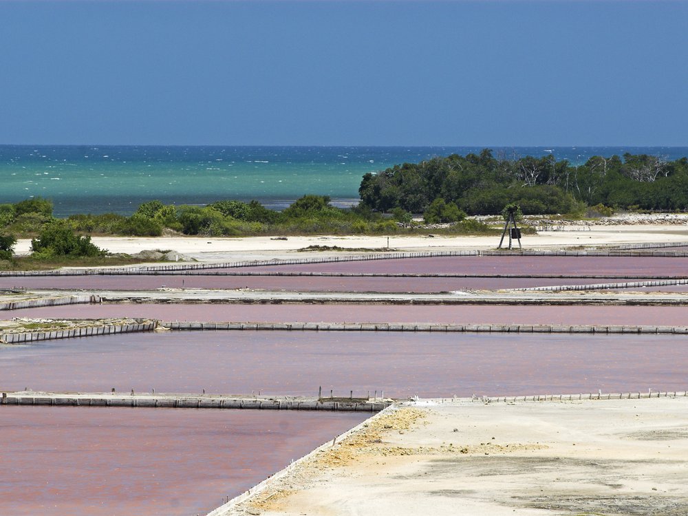 These Salt Flats in Puerto Rico Are Cotton-Candy Pink, Travel