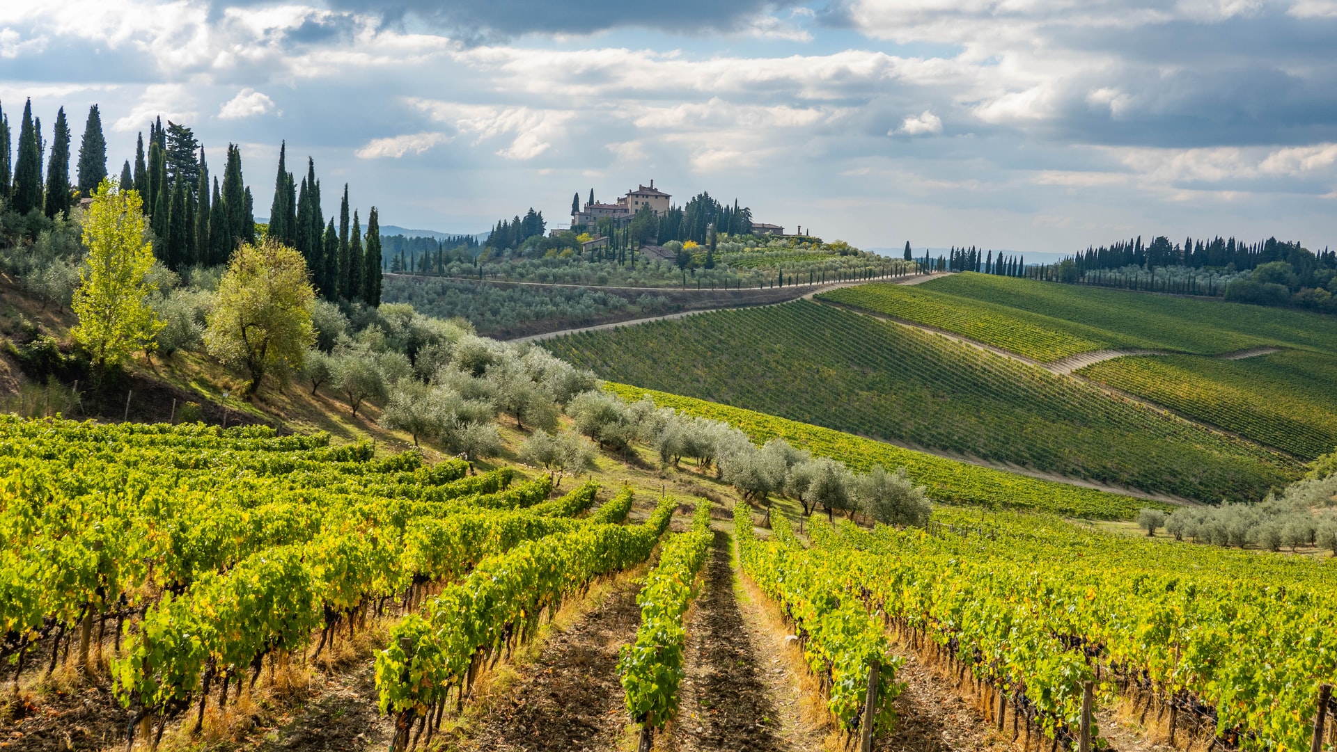 Chianti is home to one of the oldest wineries in the world (photo: Rich Martello)