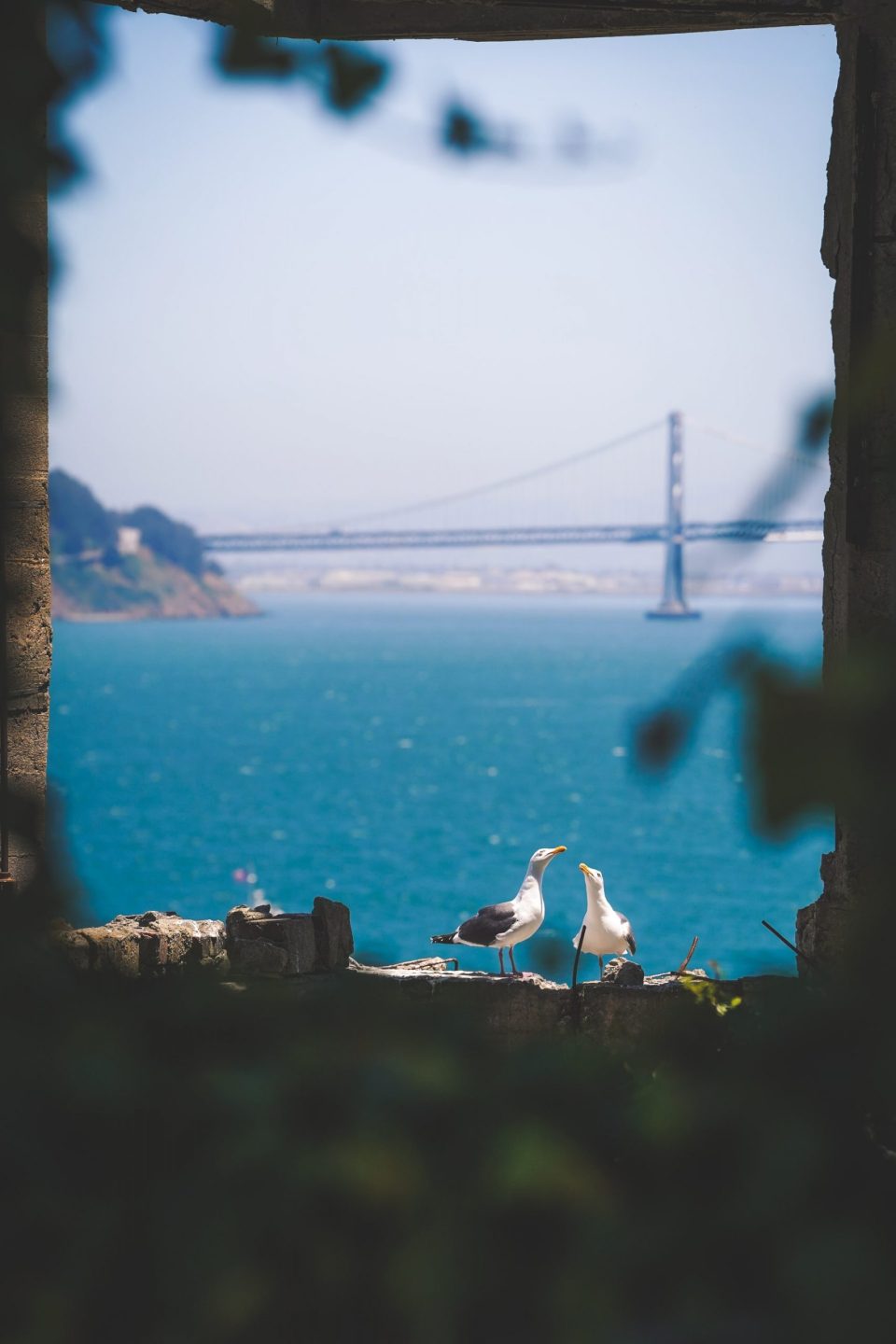 Two lovebirds on Alcatraz Island