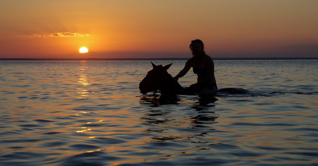 A Herd in Exile: Riding Horses on Mozambique’s Bazaruto Archipelago