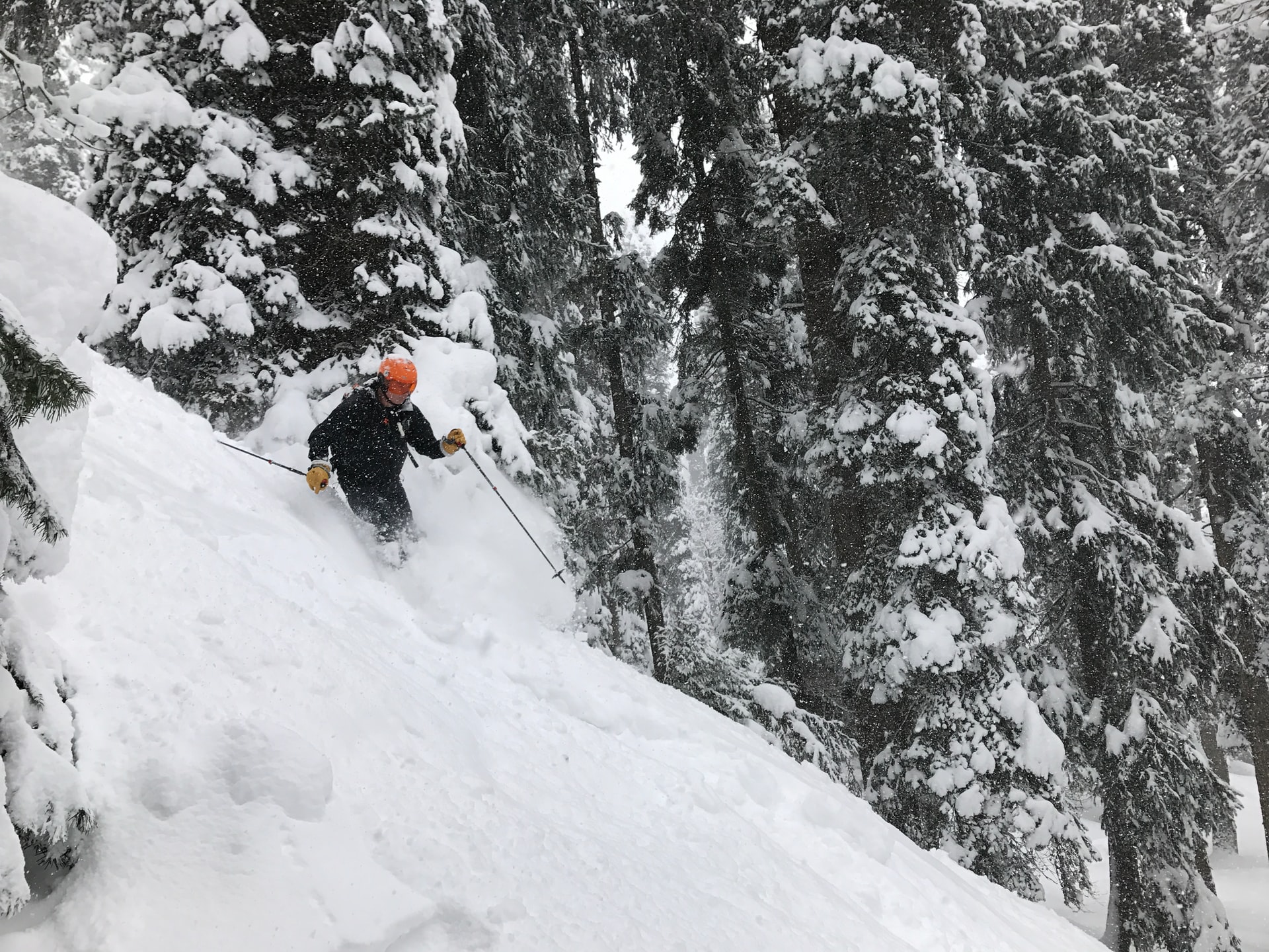 Skiing in Gulmarg, one of the best places to visit in summer in India (photo: Christian Ter Maat)