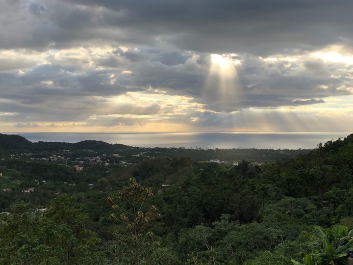 View from the hills of Rincón