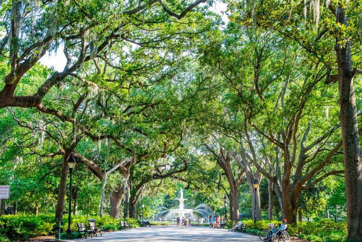 Forsyth Park is one of the most picturesque spots in Savannah.