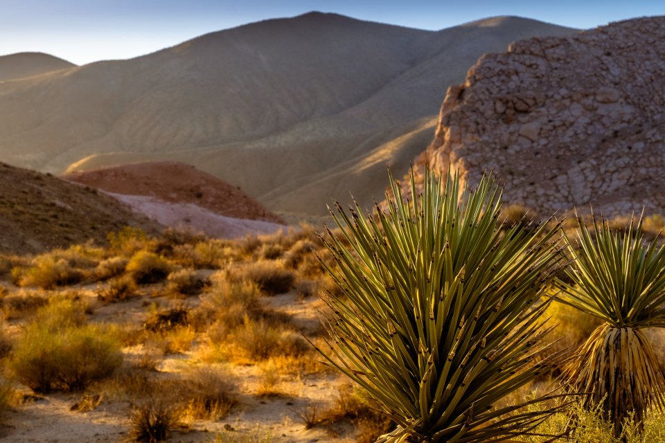 sunrise at Red Rock Canyon State Park, California