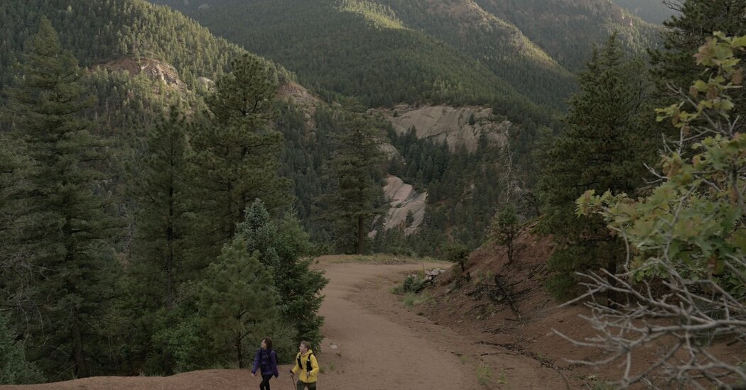 Going Hiking? Don’t Forget These Safety Tips.