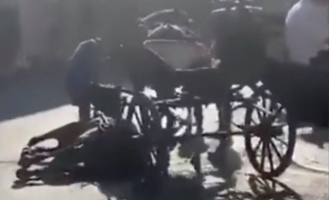 Horse collapses while pulling tourists in Mallorca in 40C heat