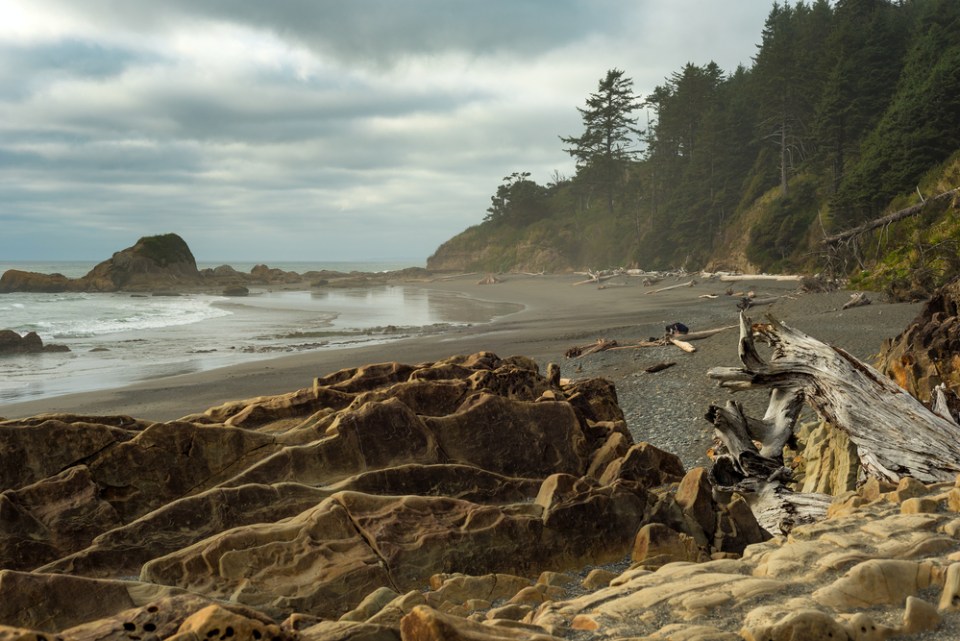 Rock-strewn Kalaloch Beach on Washington’s Pacific Coast under a threatening sky