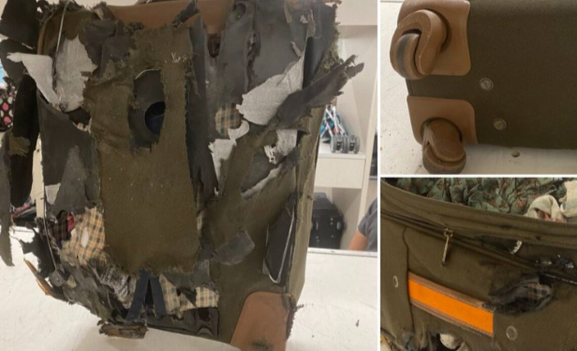 ‘Did someone drop it into a wood chipper?’: Woman’s bag ripped to shreds after Delta flight