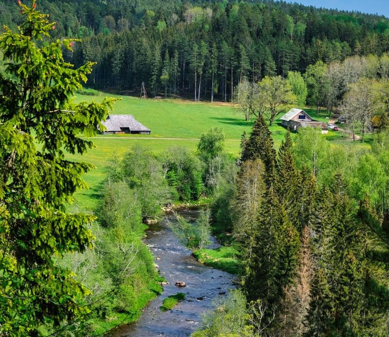 The view from Zvartes Rock in Gauja National Park