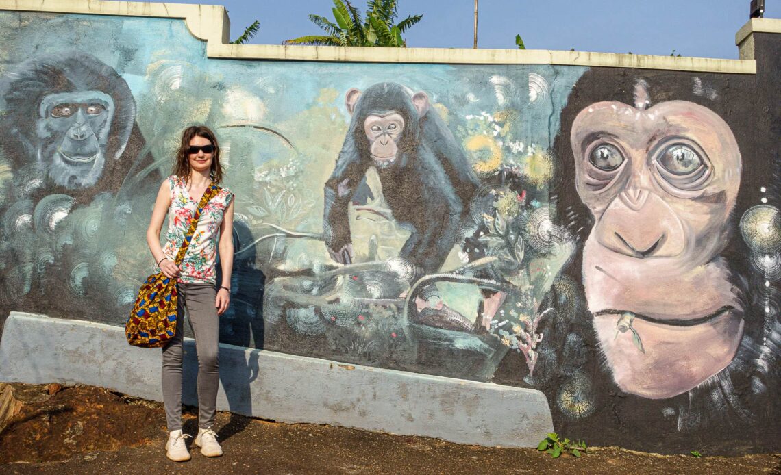 Chimpanzees Entebbe_by_Laurence Norah