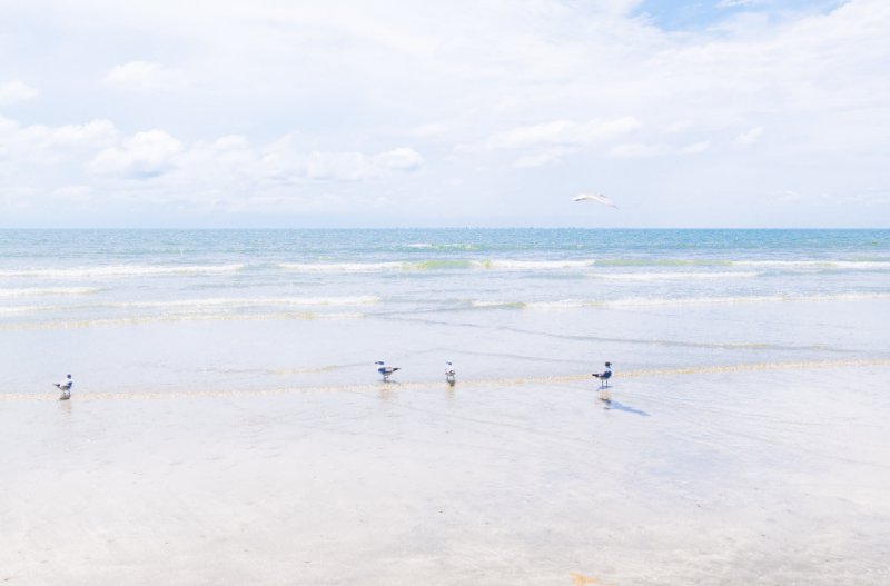 Sullivans Island Beach Scenery