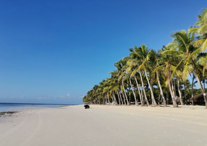 White beach in Panglao