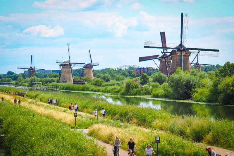 Kinderdijk Terrace Scenery