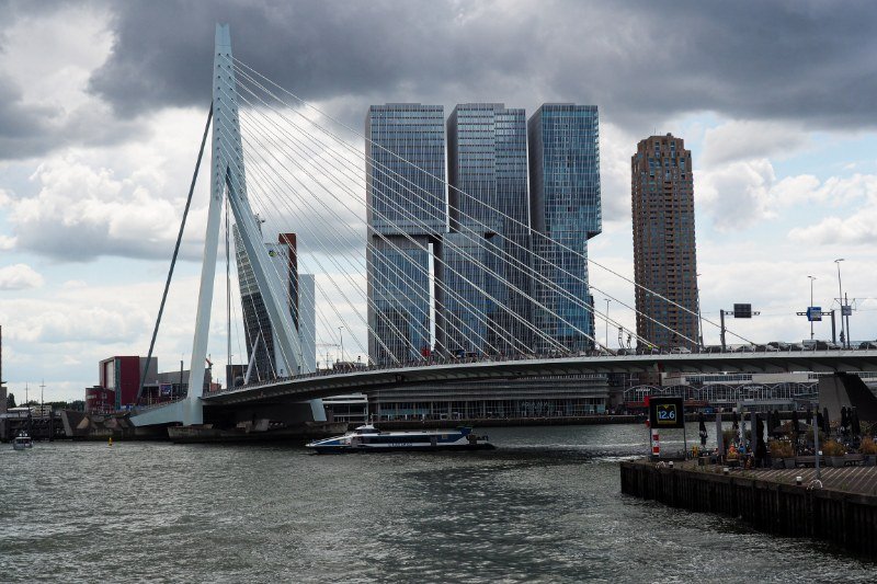 Erasmus Bridge Scenery