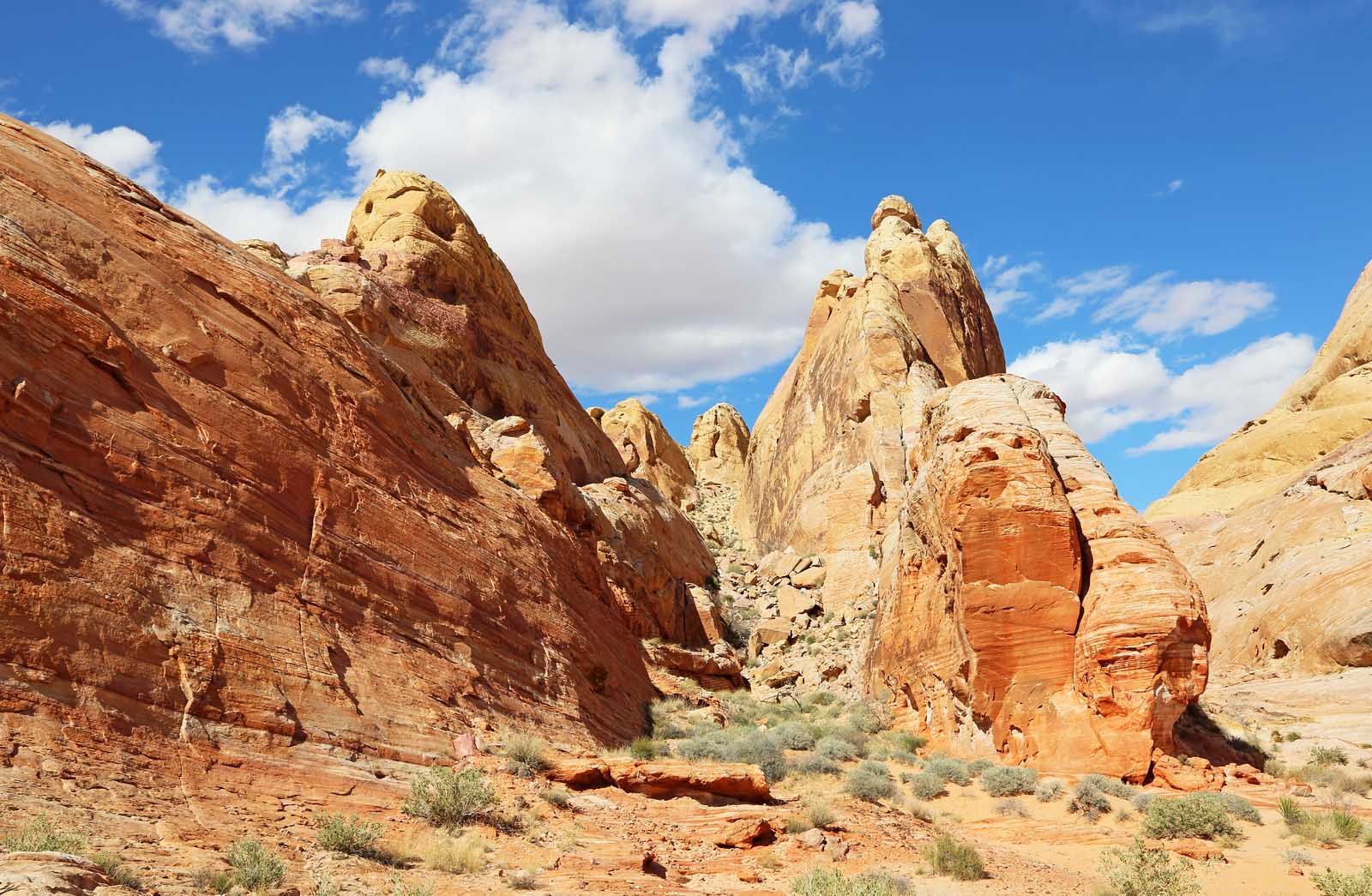 Things to do in the Valley of Fire White domes Trail