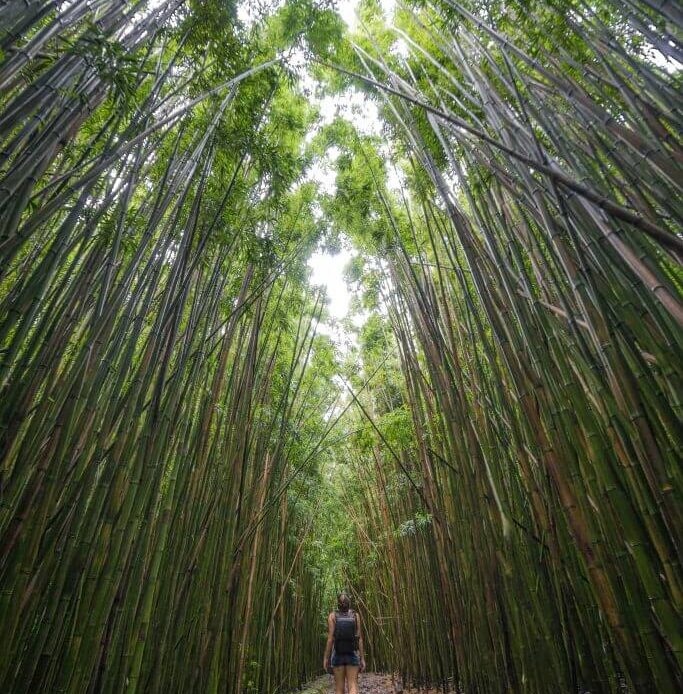 road to hana