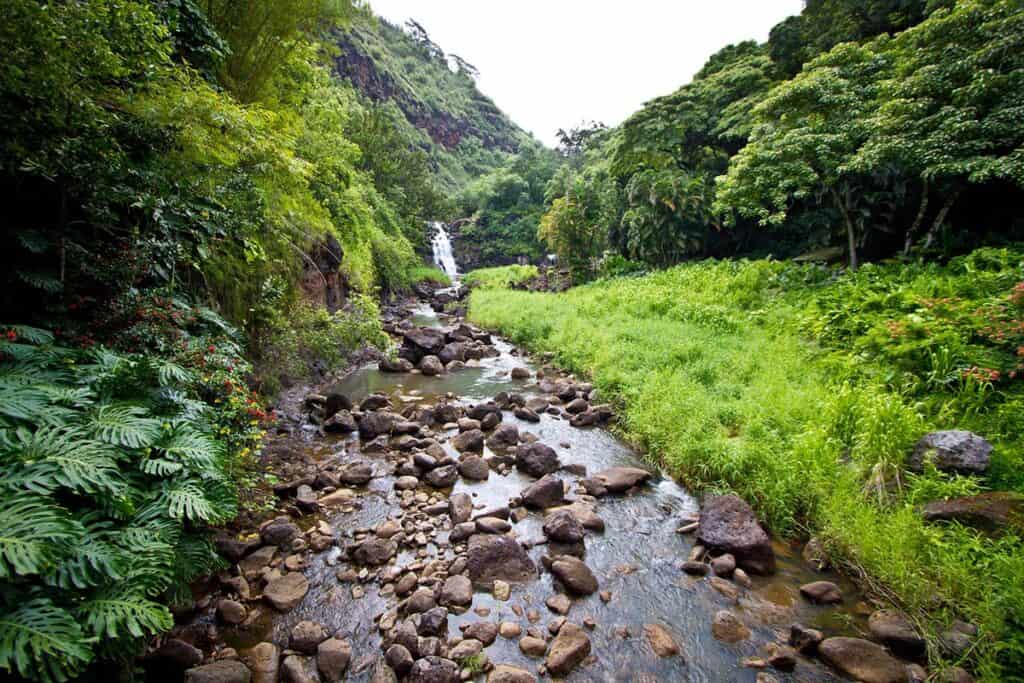 waimea falls in waimea valley is one of the best oahu waterall hikes on the island