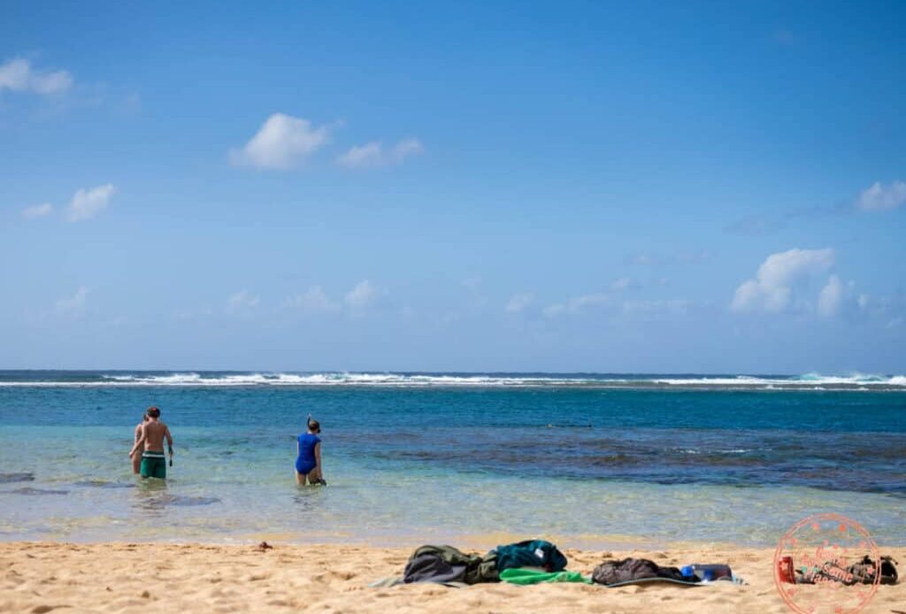 [2022] Best Snorkeling on Kauai You Can't Miss