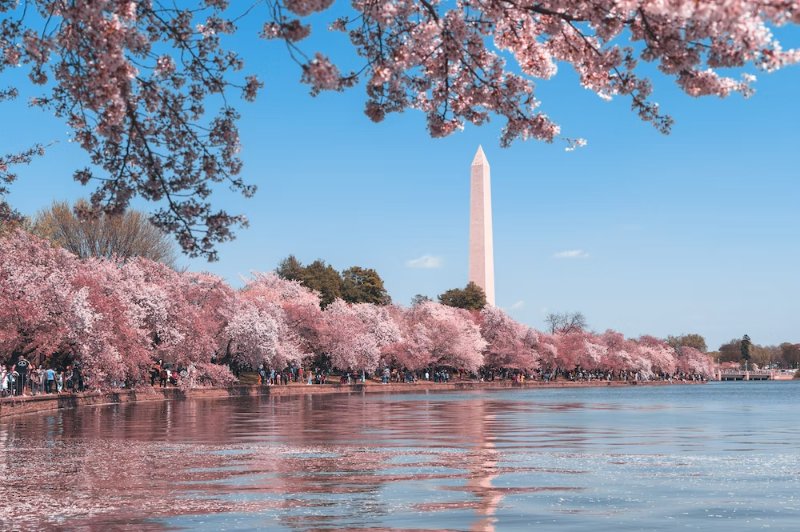 Washington Monument and Skyline