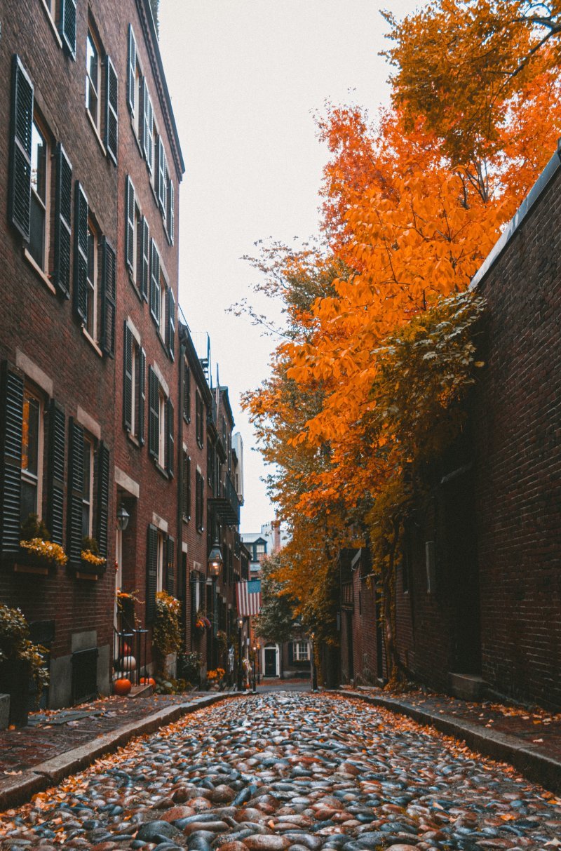 Boston Houses