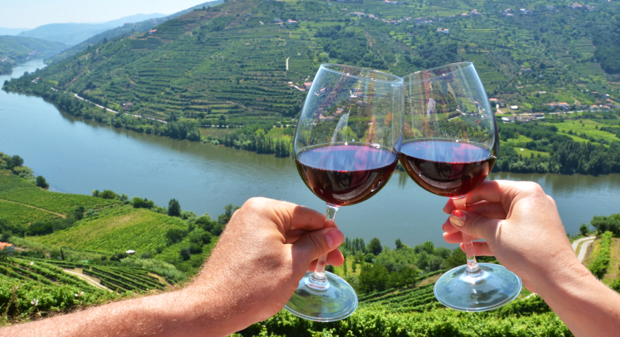 A Guide To The World’s Best Wine Destinations
