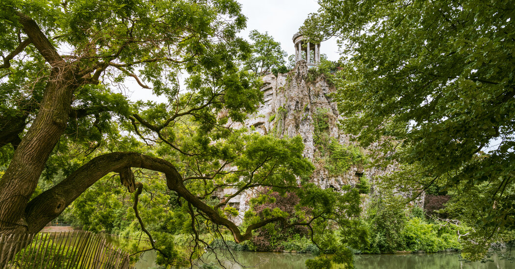 Admiring the Trees of Paris