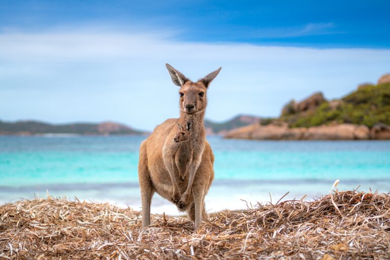 australia's best beaches