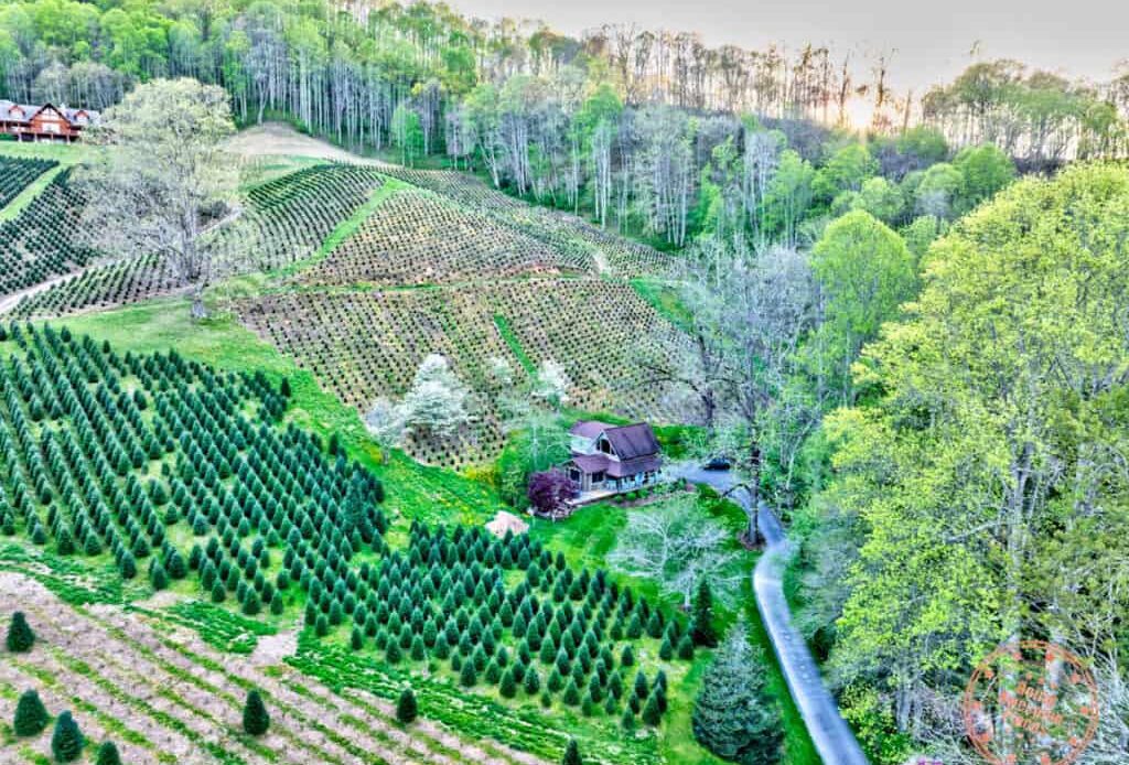 boyd mountain log cabin and the best place to stay in the smoky mountains