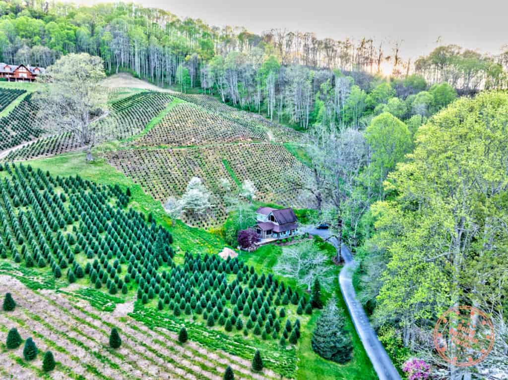 boyd mountain log cabin and the best place to stay in the smoky mountains