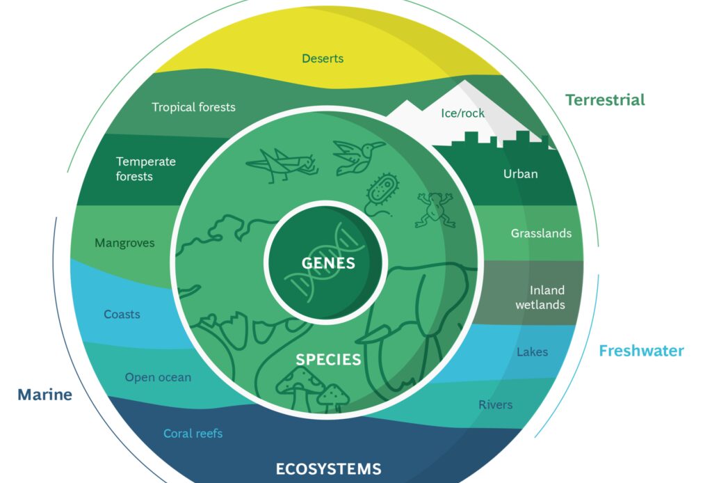 Biodiversity & business: why it matters