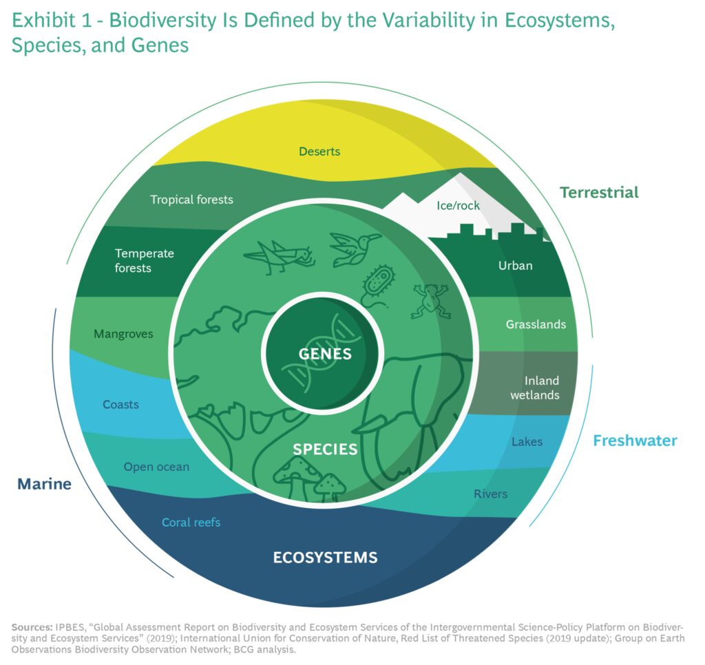 Biodiversity & Business: Why It Matters - VCP Travel