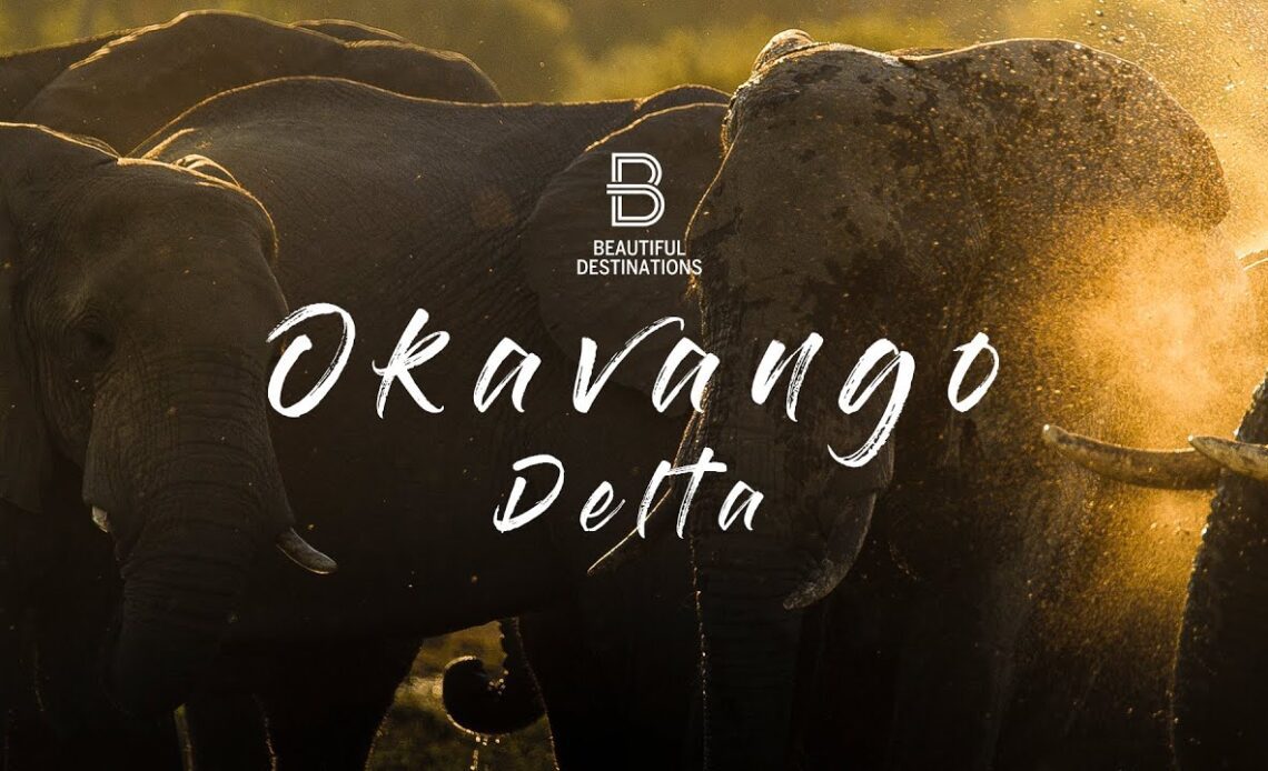 Botswana’s Okavango Delta - Heaven on Earth