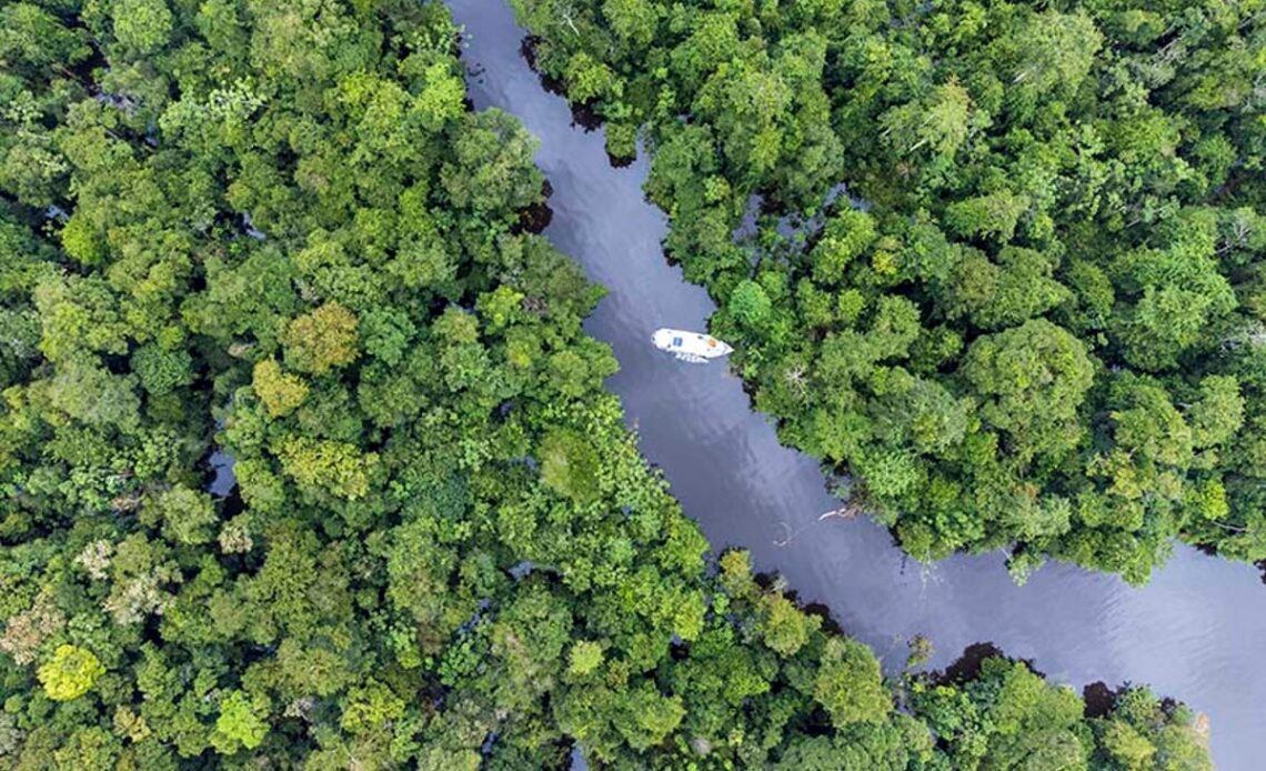 Exploring the largest swathe of protected rainforest in South America