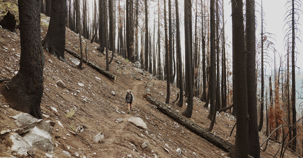 Heat, Water, Fire: How Climate Change Is Transforming the Pacific Crest Trail