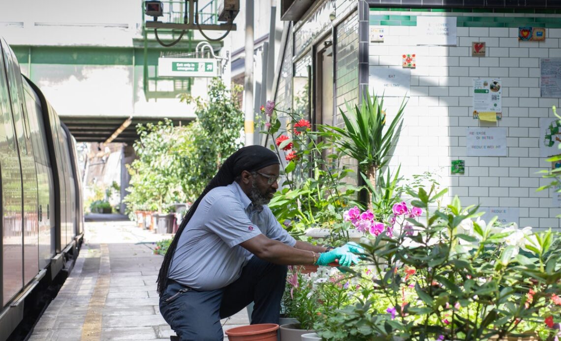 How empty parts of London’s Tube stations are being transformed into gardens