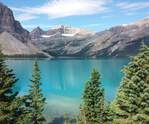 Green trees with a turquoise lake and mountains on a sunny day