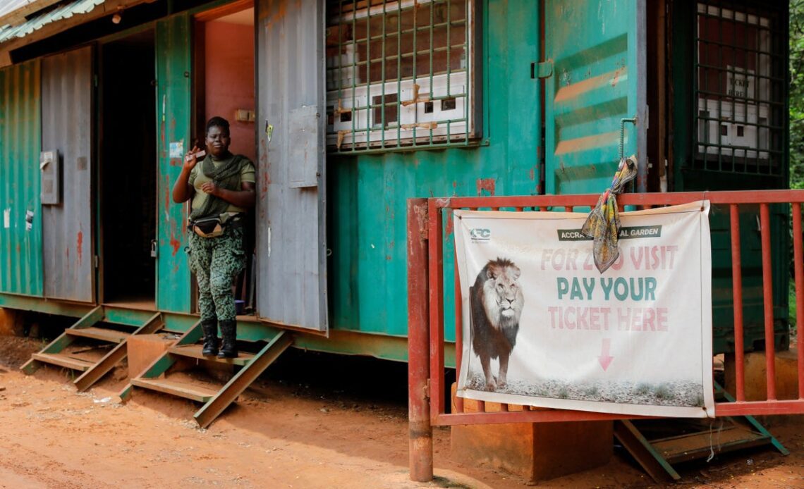 Lion kills man who scaled fence and jumped into its enclosure at Ghana zoo