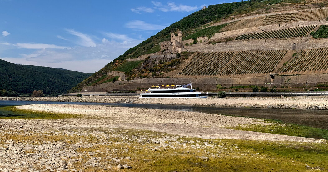 Low Water Levels Disrupt European River Cruises, a Favorite of U.S. Tourists