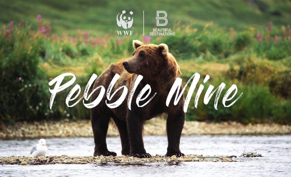 Pebble Mine, Alaska