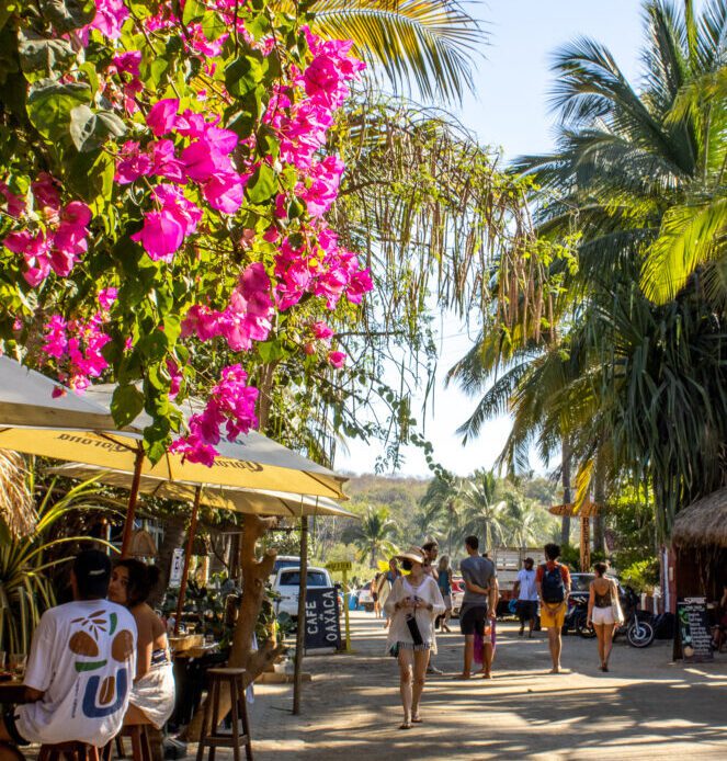 Surf's Up! Your Guide to Puerto Escondido, Mexico