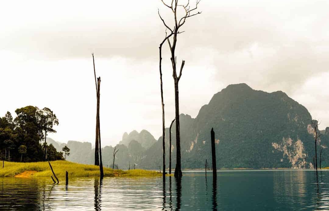 Khao Sok National Park, Thailand