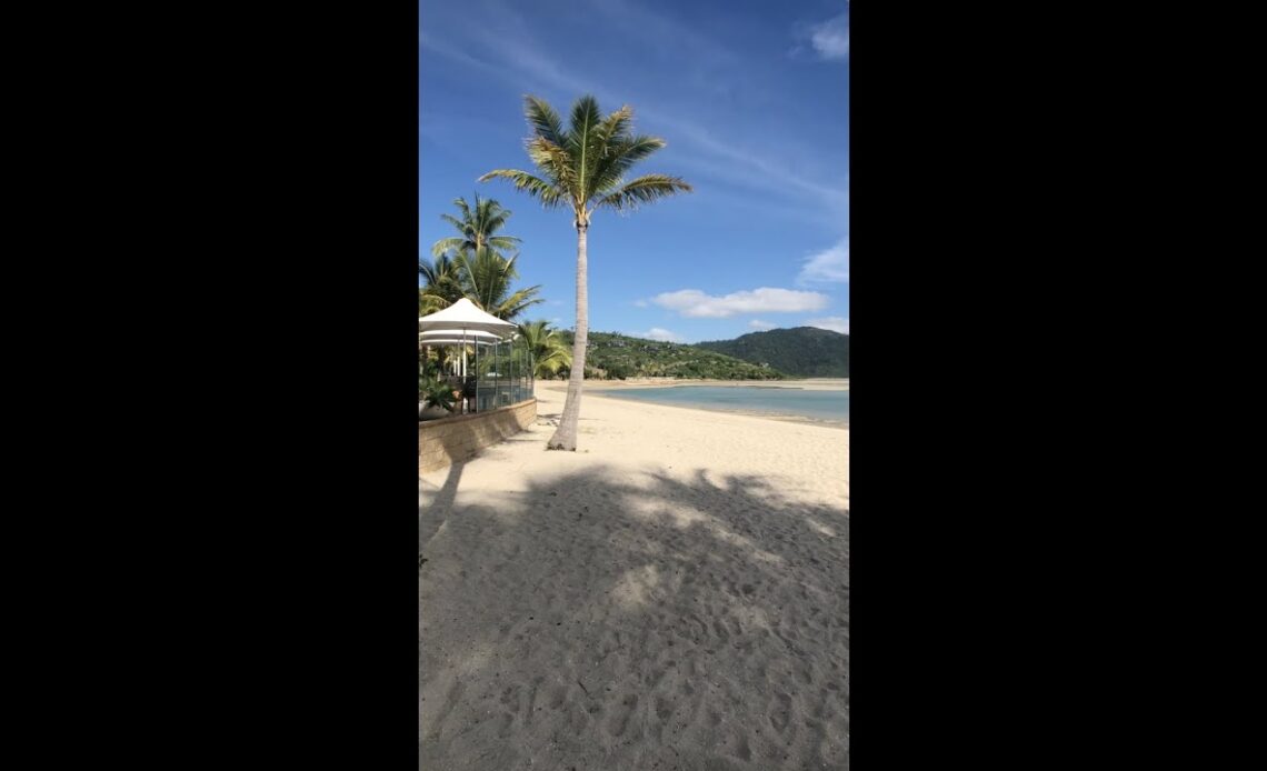 The STUNNING Hayman Island Resort! #shorts