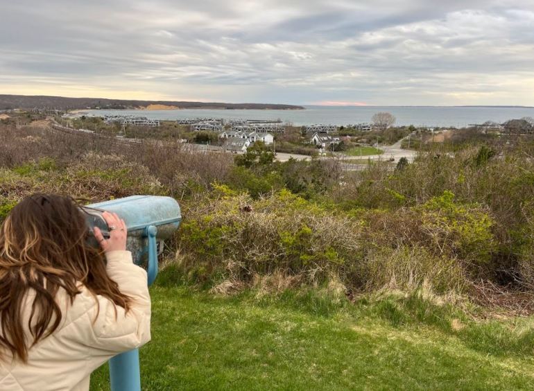 view from montauk manor