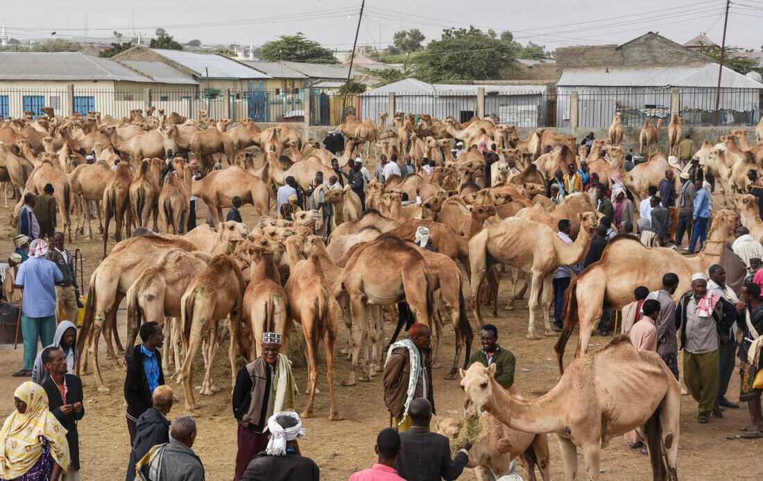 Somaliland travel