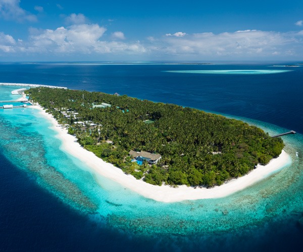 Vegan friendly resorts not to be missed in the Maldives