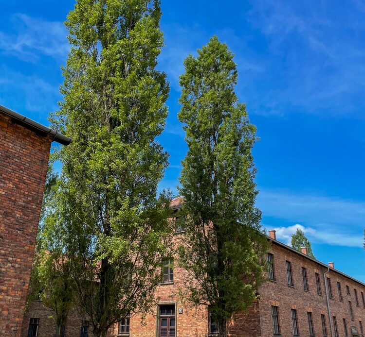 Visiting Auschwitz from Kraków - Atlas & Boots