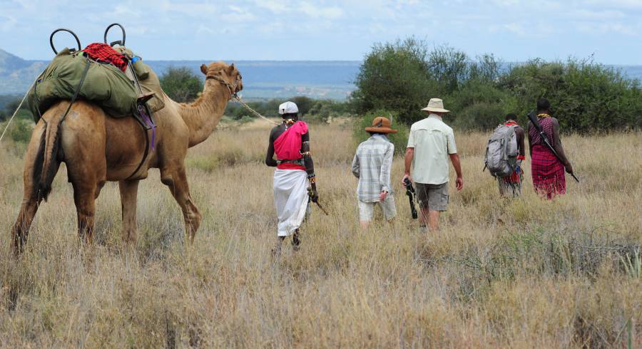 Walk On the Wild Side: Tours Of Discovery On Foot