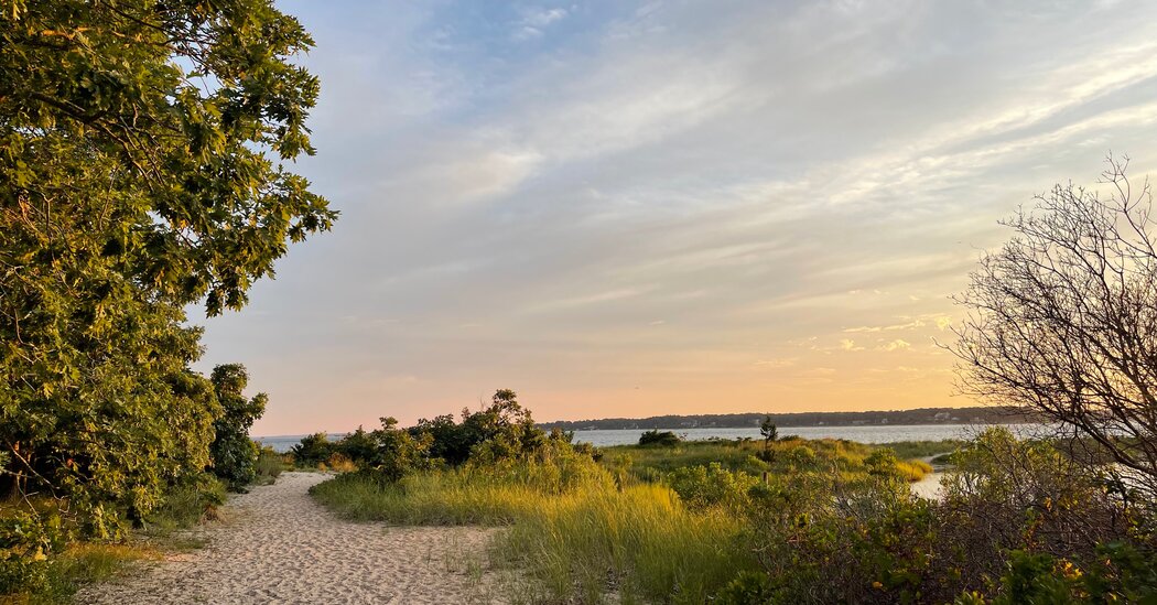 What’s Old Is New Again on Shelter Island