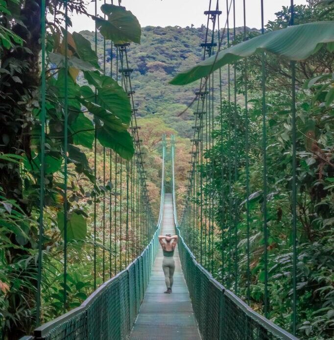 Why You Need to Visit the Monteverde Cloud Forest in Costa Rica