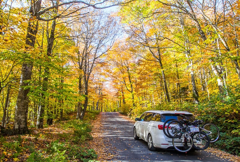 car driving through a forest